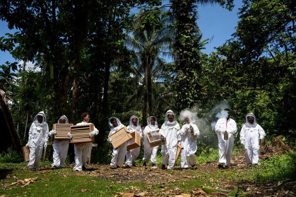 Beekeeping Solomon Islands
