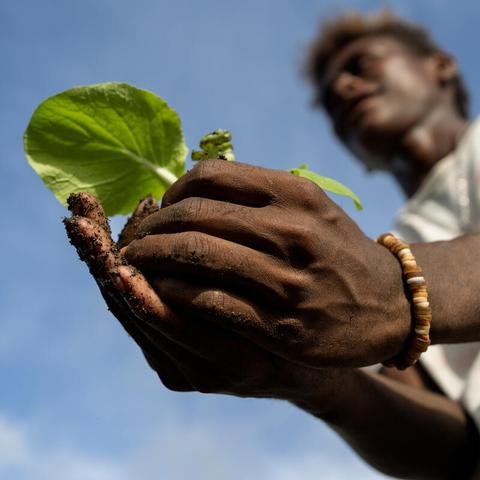 junior holds a seedling 
