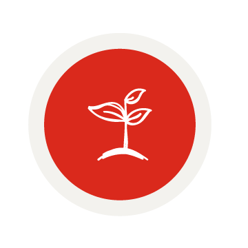 CJD25- seeds icon